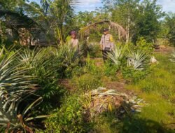 Bhabinkamtibmas Polsek Ketapang Dukung Program Asta Cita .Di Kelurahan Pasir Putih