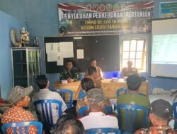 Bersinergi Dengan Distanhorbun Satgas TMMD Ke-124 Kodim 1009/Tla Gelar Penyuluhan Pertanian