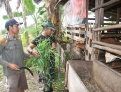 Usai Kerja Bakti TMMD, Satgas Kodim 1002/HST Jalin Silaturahmi dengan Peternak Kambing