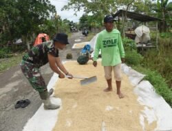 Satgas TMMD HST Bantu Warga Jemur Padi di Tengah Musim Panen