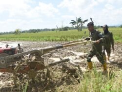 Sela Istirahat Siang, Satgas TMMD HST Bantu Warga Bajak Sawah
