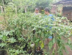 Dukung Program Ketahanan Pangan, Polsek Pulau Hanaut Sambangi Petani