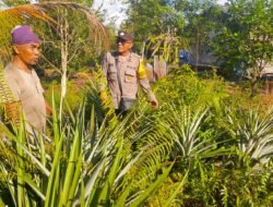 Bhabinkamtibmas Polsek Ketapang Dukung Program Asta Cita .Di Kelurahan Pasir Putih