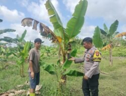 Polsek Cempaga Hulu_Bhabinkamtibmas Desa Parit Laksanakan Sambang Program Ketahanan Pangan Milik Warga Binaan.