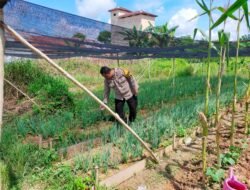 Bhabinkamtibmas Desa Pelangsian Dukung Program Asta Cita.