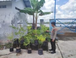 Swasembada pangan Polsek KP. Mentaya laksanakan program penanaman dan budidaya ikan demi mendukung program nasional
