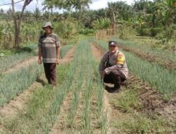 Mendukung program nasional ketahanan pangan,Polsek Parenggean lakukan pekarangan bergizi.
