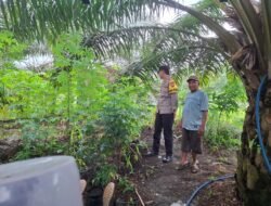 Brigpol Rian Sanjaya melakukan pengecekan pekarangan pangan bergizi di halaman rumah warga