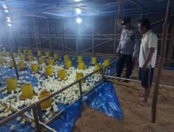 Polsek Pulau Petak Melaksanakan Pengecekan Pemanfaatan Lahan Pekarangan Warga Desa Anjir Palambang