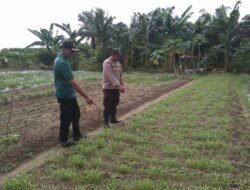 Dukung Asta Cita, Bhabinkamtibmas Polsek Pangkalan Lada Sambang Petani Kacang