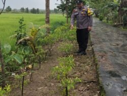 Pengecekan Dan Pendampingan Kepada Warga Dalam Hal Pemanfaatan Lahan Untuk Di Buah Mentimun Dalam Rangka Implementasi Asta Cita Presiden Republik Indonesia Dalam Bidang Ketahanan Pangan Polres Kapuas