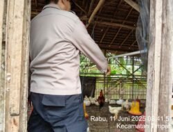 Polsek Timpah Melaksanakan Pengecekan Pemanfaatan Lahan Pekarangan Warga Desa Danau Pantau