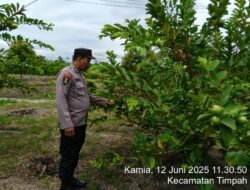 Polsek Timpah Melaksanakan Pengecekan Pemanfaatan Lahan Pekarangan Warga Desa Tumbang Randang