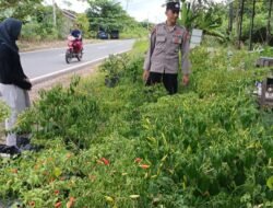Polsek Pulau Petak Melaksanakan Pengecekan Pemanfaatan Lahan Pekarangan Warga Desa Sei Tatas Hilir