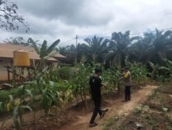 Bhabinkamtibmas mengecek Pekarangan Pangan Bergizi