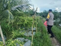Perkuat Ketahanan Pangan, Bhabinkamtibmas Polsek Baamang Melaksanakan Pengecekan Pekarangan Pangan Warga
