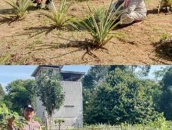 Dukung ASTA CITA, Polsek Gunung Purei Kembangkan Pekarangan Pangan Bergizi di Wilayah Barito Utara