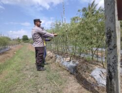 Bhabinkamtibmas Desa Bapeang Dukung Program Asta Cita