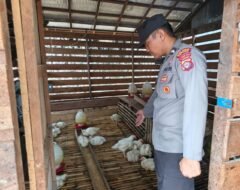Anggota Polsek Kapuas Tengah Melaksanakan Pengecekan Pekarangan hewan Desa Jangkang