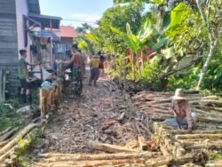 Satgas TMMD ke-125 Kodim 1007/Banjarmasin Bersama Warga Lanjutkan Pemasangan Galam untuk Jalan Utama di Mantuil