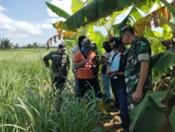 Dandim 1009/Tla Melaksanakan Peninjauan Awal Rencana Kegiatan Optimalisasi Lahan Di Kecamatan Bumi Makmur