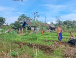 Polsek Basarang Dukung Ketahanan Pangan Untuk Program Makan Bergizi