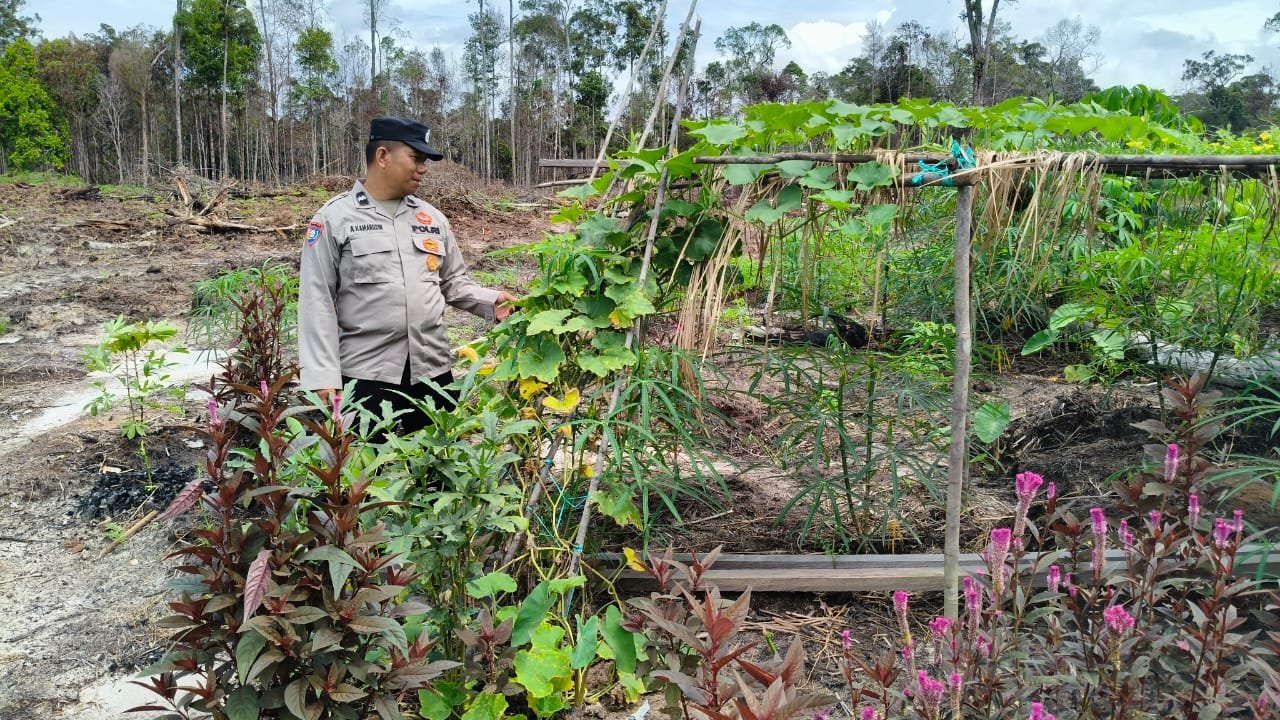 Personel Polsek Kapuas Tengah melaksanakan Pengecekan pemanfaatan Lahan Pekarangan di Desa Pujon
