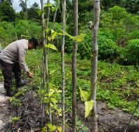 Personil Polsek Kapuas Tengah melaksanakan Pengecekan Lahan Pekarangan Desa Pujon