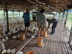Sinergitas Bhabinkamtibmas Dan Warga, Dalam Mendukung Ketahanan Pangan.