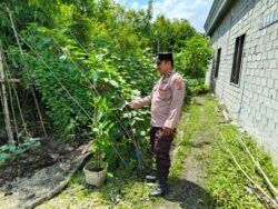 Anggota Pollsek Kapuas Tengah laksanakan Pengecekan Lahan Pekarangan masyarakat Desa Pujon