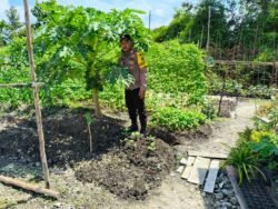 Personell Polsek Kapuas Tengah melaksanakan Pengecekan Lahan Pekarangan Desa Pujon