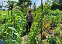 Personil Polsek Kapuas Tengah melaksanakan Pengecekan Lahan Pekarangan Desa Pujon