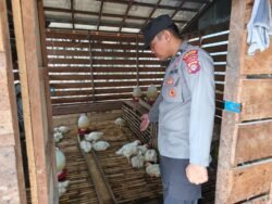 Polsek Kapuas Tengah Melaksanakan Pengecekan Pekarangan warga Desa Jangkang