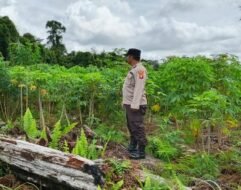 Polsek Kapuas Tengah laksanakan Pengecekan Lahan Pekarangan Desa Pujon
