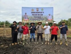 Holding Perkebunan Nusantara Dukung Asta Cita, PTPN IV Regional V–Polsek Meliau Tanam Jagung 1 Hektare