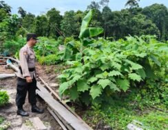 Personel Pollsek Kapuas Tengah laksanakan Pengecekan Lahan Pekarangan milik warga Desa Pujon