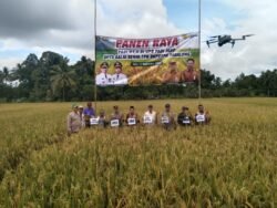 Babinsa Koramil 1008-01 Hadiri Panen Raya Padi MT II di Jaro