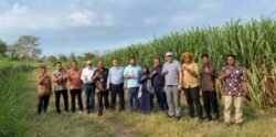 Holding Perkebunan Nusantara dan Business Council Rusia Jalin Kolaborasi Riset Industri Gula Melalui PT RPN