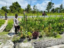 Personil Polsek Kapuas Tengah melaksanakan Pengecekan Lahan Pekarangan warga di Desa Pujon