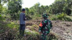 Kodim 1008/Tabalong Dukung Penuh Program Hanpangan Melalui Pendampingan Cetak Sawah