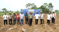 Holding Perkebunan Nusantara dan Ditjenbun Kementan Kolaborasi Percepat Bongkar Ratoon, Jaga Pasokan Gula Nasional