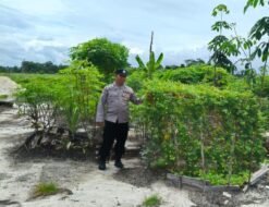 Personill Polsek Kapuas Tengah melaksanakan Pengecekan Lahan Pekarangan Desa Pujon
