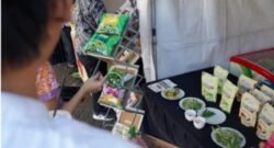 Holding Perkebunan Nusantara Dorong Hilirisasi, PTPN I Pamerkan Walini, Hycrunch, dan Hygreen di Rapimnas Tani Merdeka