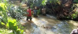 TNI dan Warga Gotong Royong Atasi Pohon Tumbang di Sungai Tabu Darat