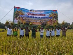 Babinsa Koramil 1008-02/Haruai-Upau Hadiri Kegiatan Wiwitan Kelompok Tani Rukun Tani Sentosa di Desa Bilas