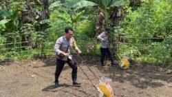 Polsek Tanah Siang Selatan Dukung Ketahanan Pangan Melalui Penanaman Jagung Di Desa Tahujan Ontu