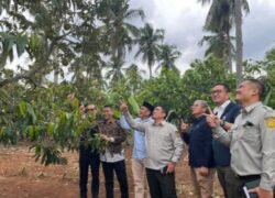Hilirisasi Perkebunan Jadi Misi Nasional, PTPN I Ambil Peran Strategis di Bawah Holding Perkebunan Nusantara