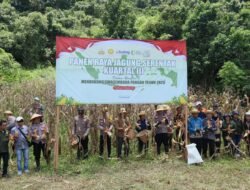 Dukung Ketahanan Pangan Nasional, Polres Murung Raya Gelar Panen Raya Jagung Kuartal III