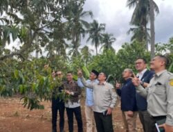 Holding Perkebunan Nusantara Dukung Hilirisasi, PTPN I Regional 7 Siap Jalankan Mandat