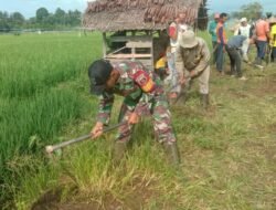 TNI dan Warga Bersinergi Jaga Akses Pertanian di Hulu Sungai Tengah